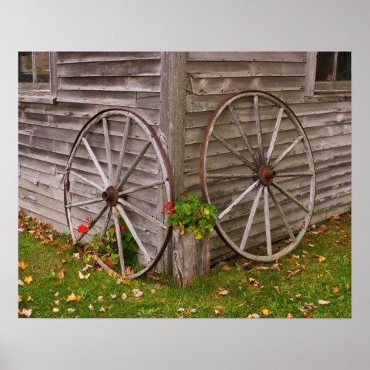 VS, Main. Wagon Wheels Poster (Voorkant)