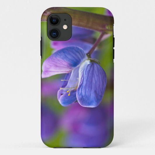 VS, Maine, Acadia National Park. Close-up van Case-Mate iPhone Case (Achterkant)