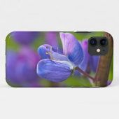 VS, Maine, Acadia National Park. Close-up van Case-Mate iPhone Case (Achterkant (horizontaal))