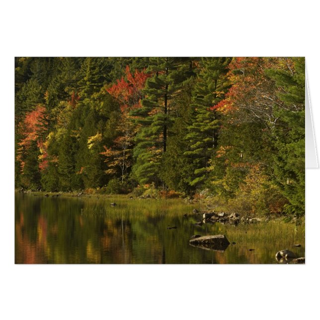 VS; Maine; Acadia NP. Herfstreflecties bij 2 (Voorkant Horizontaal)