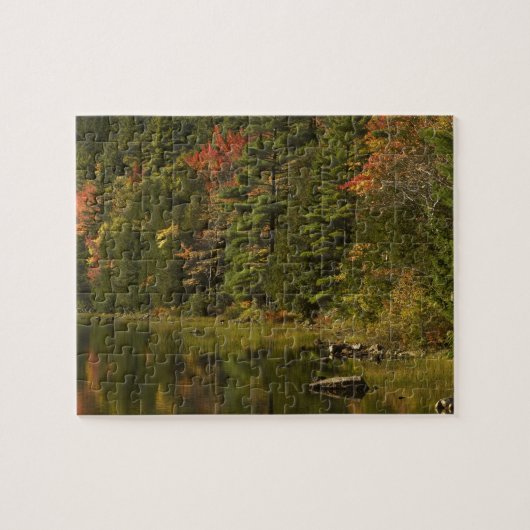 VS; Maine; Acadia NP. Herfstreflecties bij 2 Legpuzzel (Horizontaal)