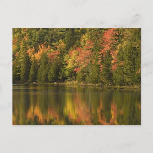 VS; Maine; Acadia NP. Herfstreflecties bij Briefkaart (Voorkant)