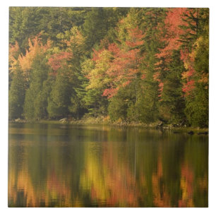 VS; Maine; Acadia NP. Herfstreflecties bij Tegeltje