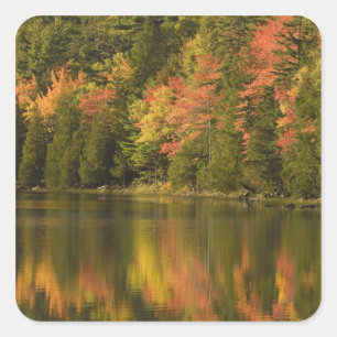 VS; Maine; Acadia NP. Herfstreflecties bij Vierkante Sticker