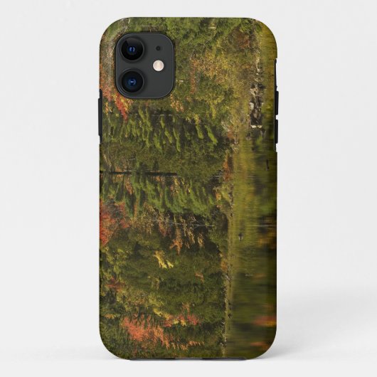 VS; Maine; Acadia NP. Herfstreflecties om 2 Case-Mate iPhone Case (Achterkant)