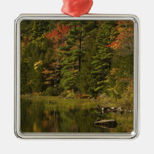 VS; Maine; Acadia NP. Herfstreflecties om 2 Metalen Ornament
