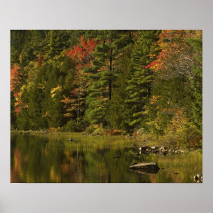 VS; Maine; Acadia NP. Herfstreflecties om 2 Poster