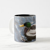 VS, Maine, Camden, Mallard Duck op het meer Tweekleurige Koffiemok (Voorkant links)