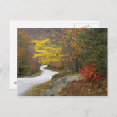 VS, Maine, Camden. Weg door Camden Briefkaart (Voorkant / Achterkant)