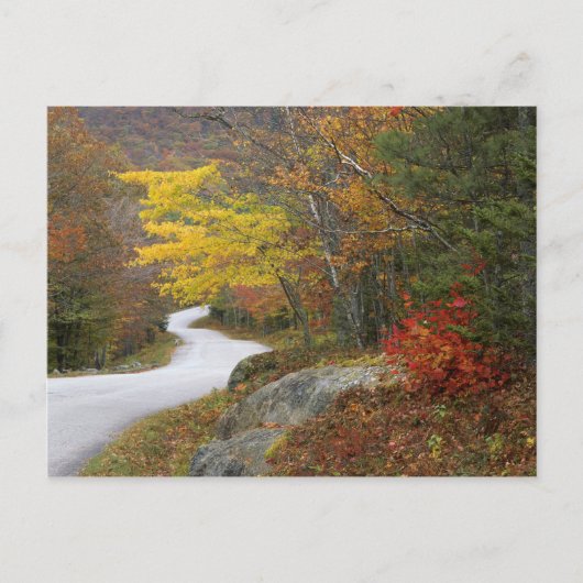 VS, Maine, Camden. Weg door Camden Briefkaart (Voorkant)