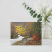 VS, Maine, Camden. Weg door Camden Briefkaart (Staand voorkant)