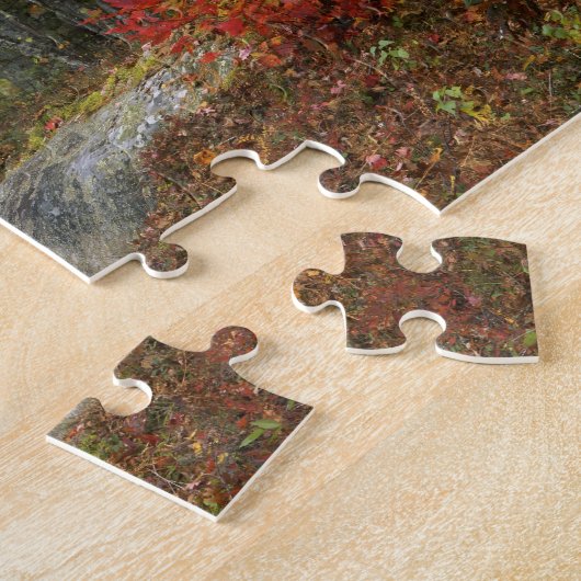 VS, Maine, Camden. Weg door Camden Legpuzzel (Zijkant)