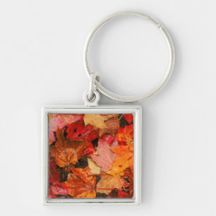VS, Maine. Herfst esdoornbladeren Sleutelhanger