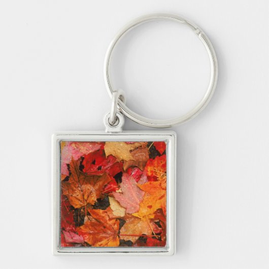 VS, Maine. Herfst esdoornbladeren Sleutelhanger (Voorkant)