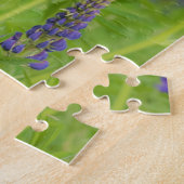 VS, Maine, Nationaal park Acadia. Veld met Legpuzzel (Zijkant)