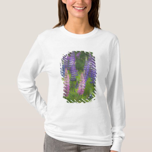 VS, Maine, Southwest Harbour. Blooming lupine T-shirt (Voorkant)
