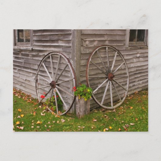 VS, Maine. Wagonwielen Briefkaart (Voorkant)