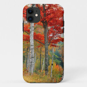 VS, Maine, Wyman Lake. Berkenbos Case-Mate iPhone Case