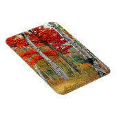 VS, Maine, Wyman Lake. Vogelbos Magneet (Rechterzijde)