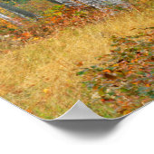 VS, Maine, Wyman Lake. Vogelbos Poster (Hoek)