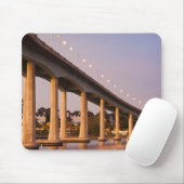 VS, Maryland, Annapolis. Severn Rivier brug, Muismat (Met muis)