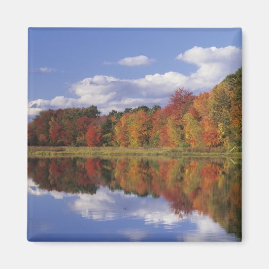 VS, Massachusetts, Acton. Weergave van herfst Magneet (Voorkant)