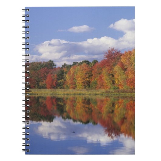 VS, Massachusetts, Acton. Weergave van herfst Notitieboek (Voorkant)