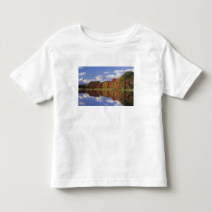 VS, Massachusetts, Acton. Weerkaatsing van herfst Kinder Shirts