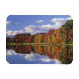 VS, Massachusetts, Acton. Weerkaatsing van herfst Magneet