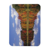 VS, Massachusetts, Acton. Weerkaatsing van herfst Magneet (Verticaal)