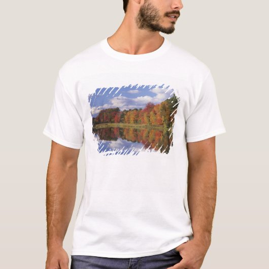 VS, Massachusetts, Acton. Weerspiegeling van herfs T-shirt (Voorkant)