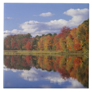 VS, Massachusetts, Acton. Weerspiegeling van herfs Tegeltje
