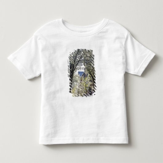 VS, Massachusetts, Boston, Beacon Hill. Kinder Shirts (Voorkant)