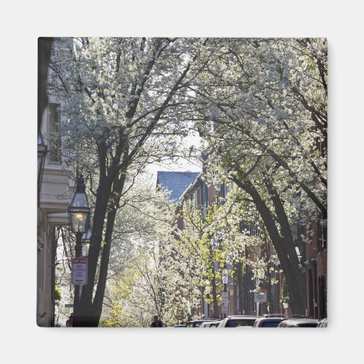 VS, Massachusetts, Boston, Beacon Hill. Magneet (Voorkant)