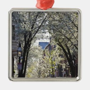 VS, Massachusetts, Boston, Beacon Hill. Metalen Ornament