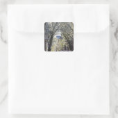 VS, Massachusetts, Boston, Beacon Hill. Vierkante Sticker (Tas)