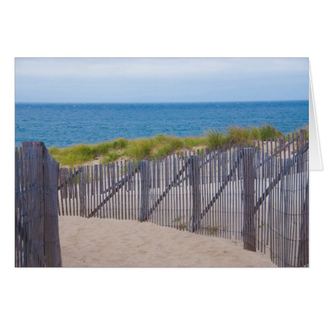 VS, Massachusetts. Duinen en pad (Voorkant Horizontaal)