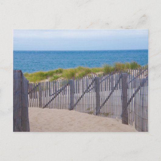 VS, Massachusetts. Duinen en pad Briefkaart (Voorkant)