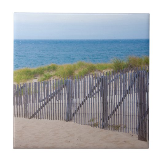 VS, Massachusetts. Duinen en pad Tegeltje (Voorkant)