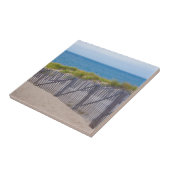 VS, Massachusetts. Duinen en pad Tegeltje (Zijkant)
