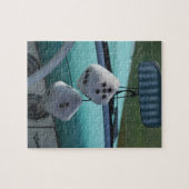 VS, Massachusetts, Gloucester. Fuzzy dobbelstenen  Legpuzzel (Horizontaal)