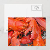 VS, Massachusetts, Martha's Vineyard Briefkaart (Voorkant / Achterkant)