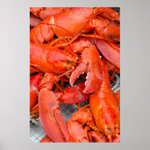 VS, Massachusetts, Martha's Vineyard Poster