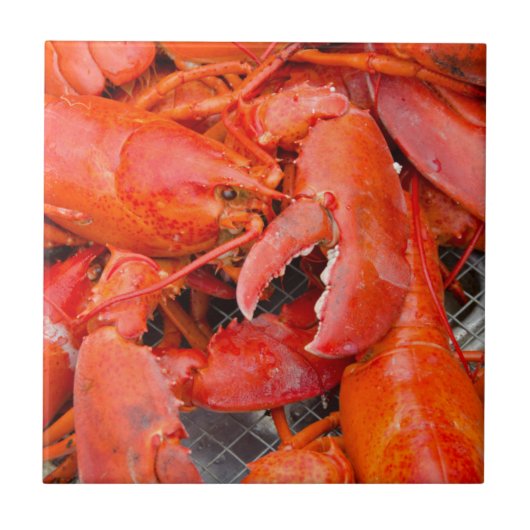 VS, Massachusetts, Martha's Vineyard Tegeltje (Voorkant)