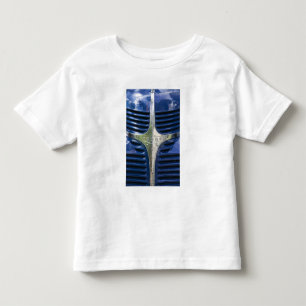 VS, MASSACHUSETTS, Martha's Vineyard: West 3 Kinder Shirts