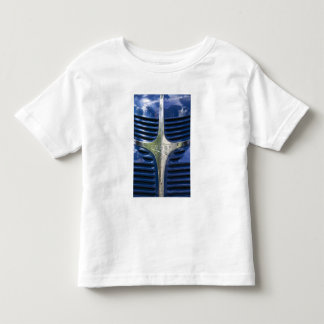 VS, MASSACHUSETTS, Martha's Vineyard: West 3 Kinder Shirts