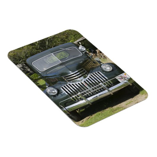 VS, MASSACHUSETTS, Martha's Vineyard: West 4 Magneet (Rechterzijde)