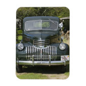 VS, MASSACHUSETTS, Martha's Vineyard: West 4 Magneet (Verticaal)