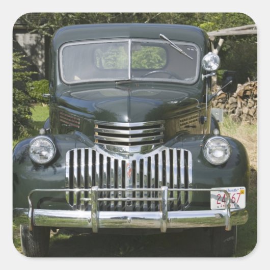 VS, MASSACHUSETTS, Martha's Vineyard: West 4 Vierkante Sticker (Voorkant)