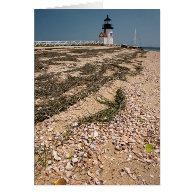 VS, Massachusetts, Nantucket. Schelp (Voorkant)